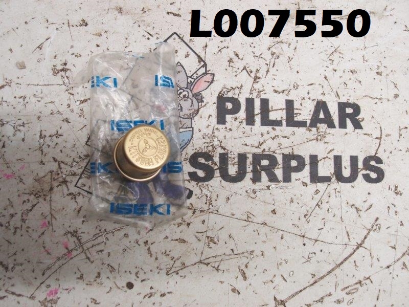 https://www.pillarsurplus.com/v/vspfiles/photos/L007550-2.jpg?v-cache=1516953373